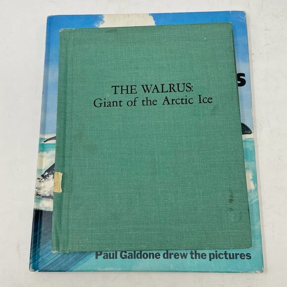 Three Vintage Hardcover Ocean Books Childrens Ex Library Whales Walrus Sea - Picture 5 of 8